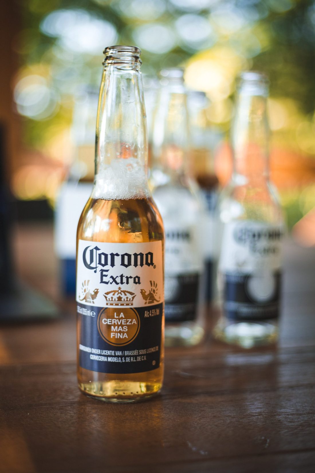 Is Corona Beer Gluten-Free: Investigating the Gluten Content in Corona Beer